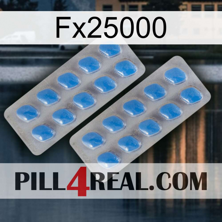 Fx25000 23